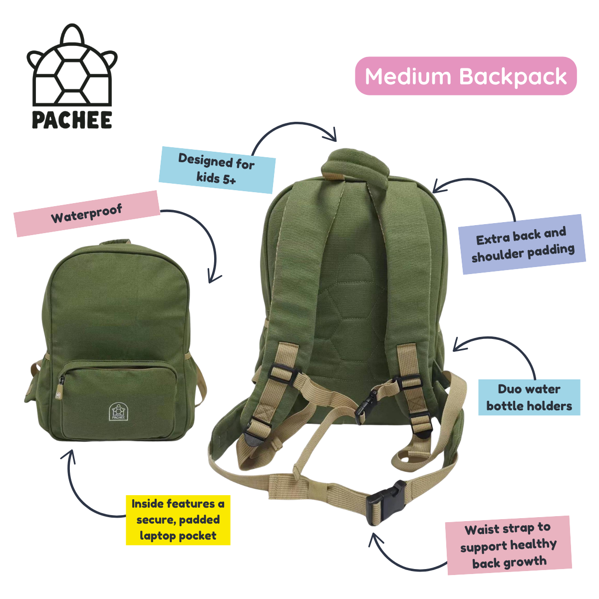 An infographic showing an olive green PACHEE medium backpack from multiple angles with callout labels highlighting features like waterproof fabric, extra back and shoulder padding, dual water bottle holders, and a padded laptop pocket.